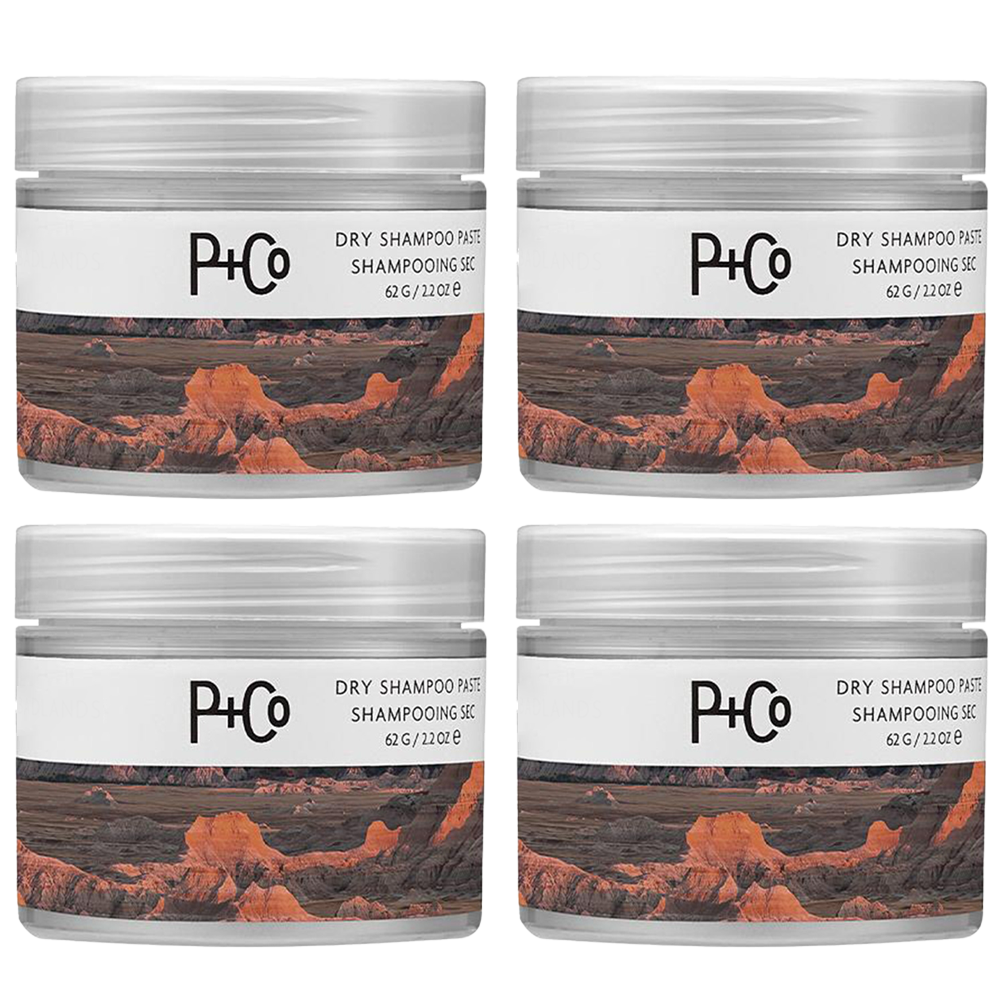 final-3-hours-70-off-dry-shampoo-paste-no-rinse-matte-finish-oil-absorbing-hair-refresher-styling-balm-7608