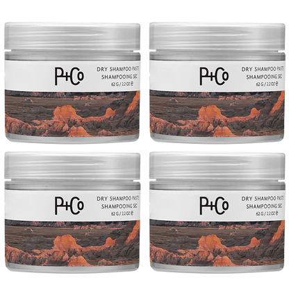 final-3-hours-70-off-dry-shampoo-paste-no-rinse-matte-finish-oil-absorbing-hair-refresher-styling-balm-7608